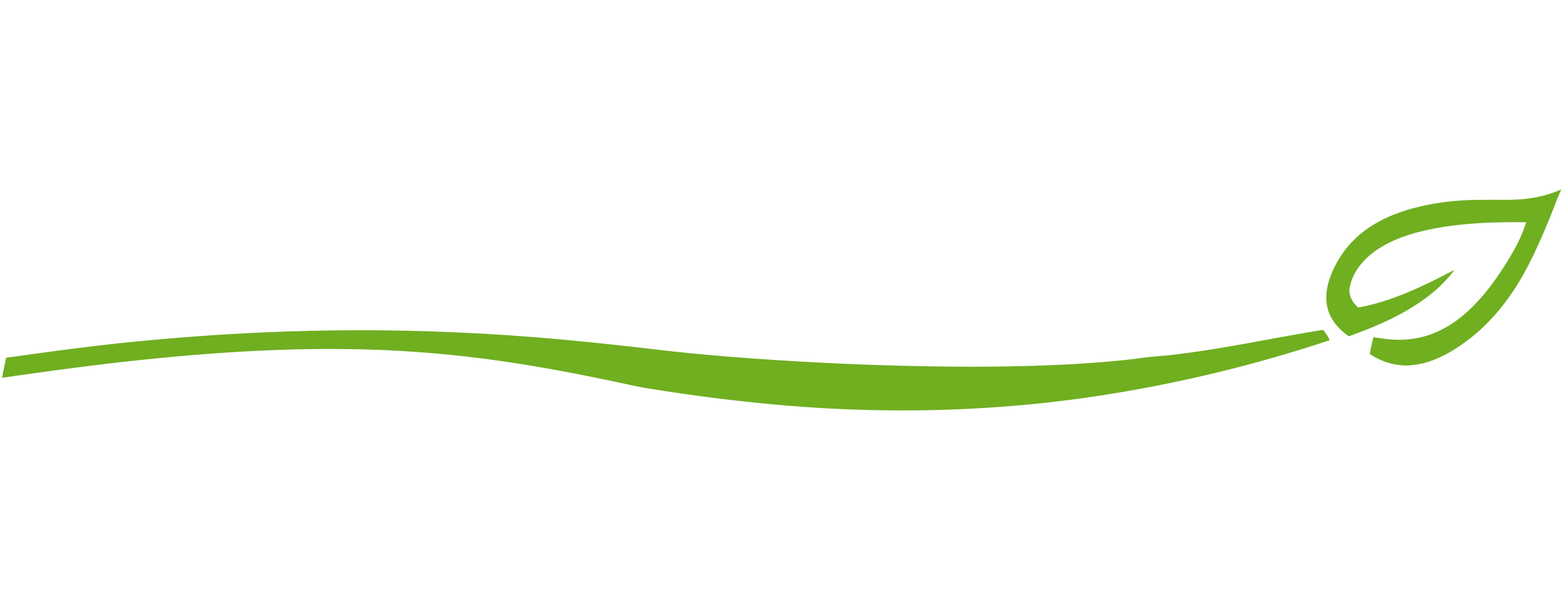 LANA DE ACERO – FARCOSA – Productos de Higiene y Desinfección